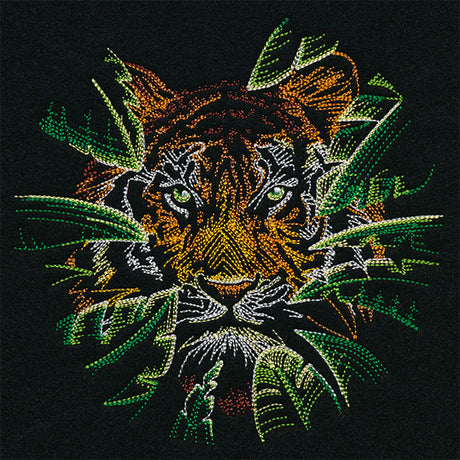 Wild Tropical Tiger