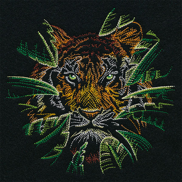 Wild Tropical Tiger