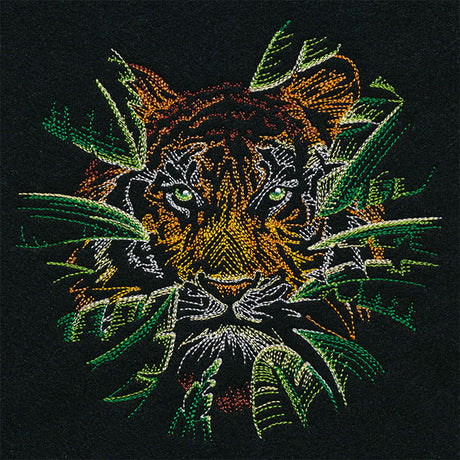 Wild Tropical Tiger