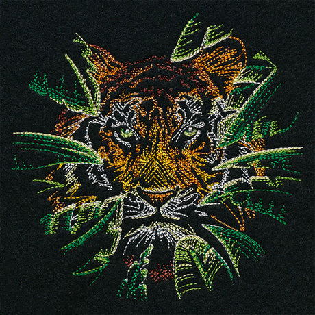 Wild Tropical Tiger