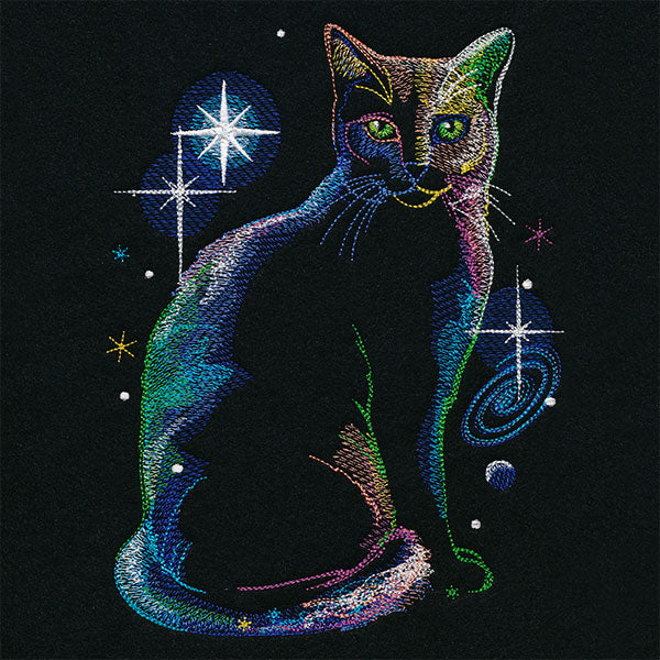 Out-of-this-World Kitty