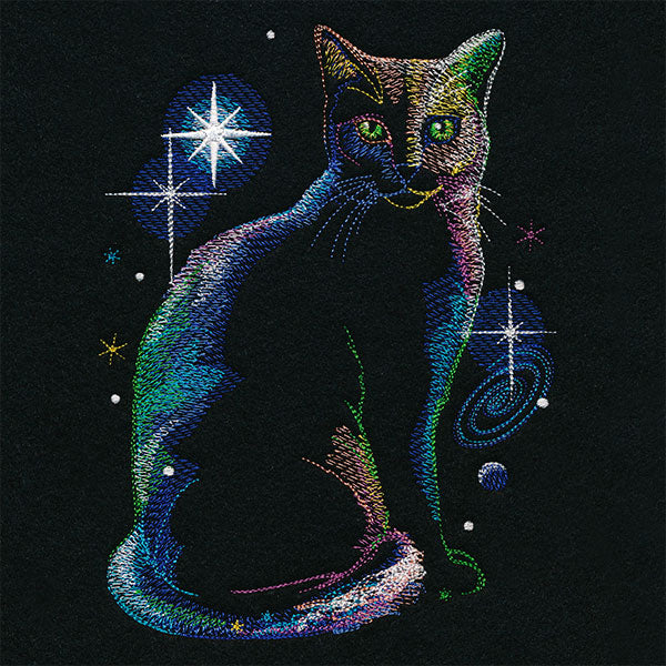 Out-of-this-World Kitty