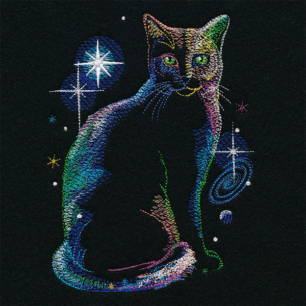 Out-of-this-World Kitty