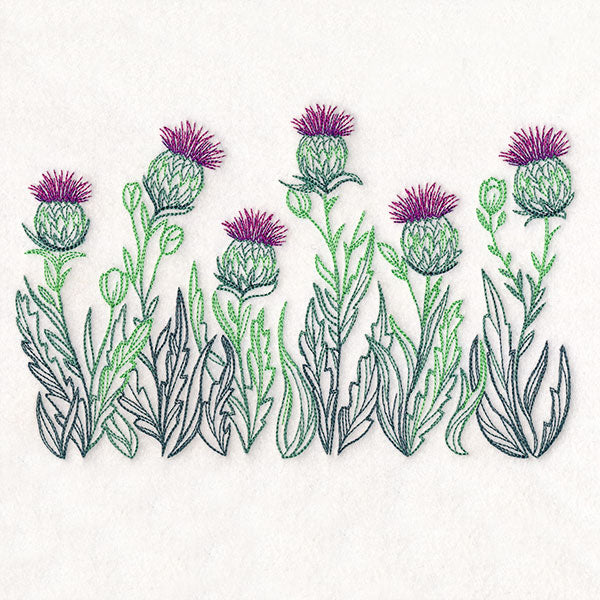 Lively Thistle Border