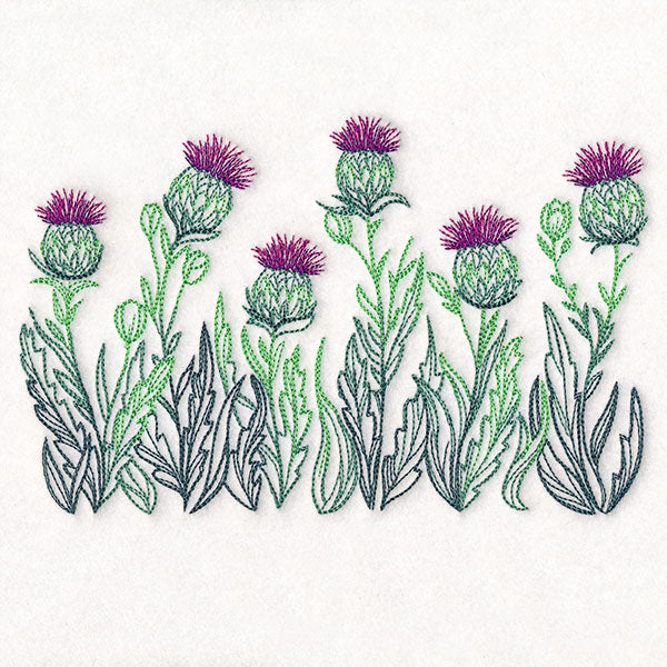 Lively Thistle Border