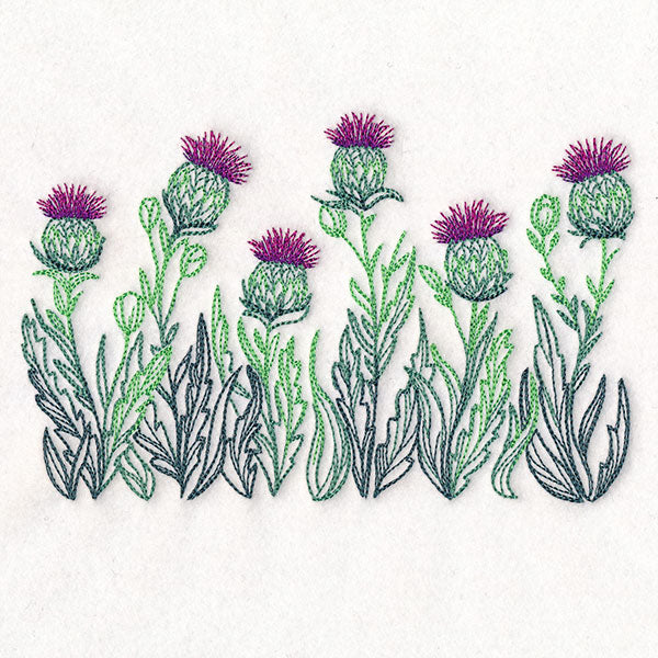 Lively Thistle Border