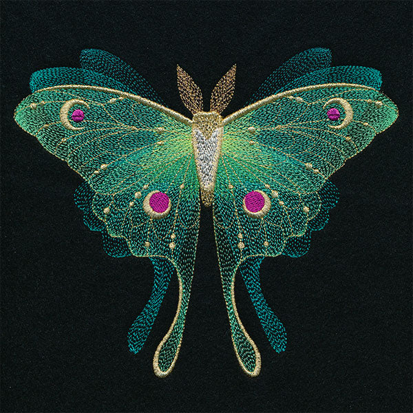 Sheer Illusions Luna Moth in Flight