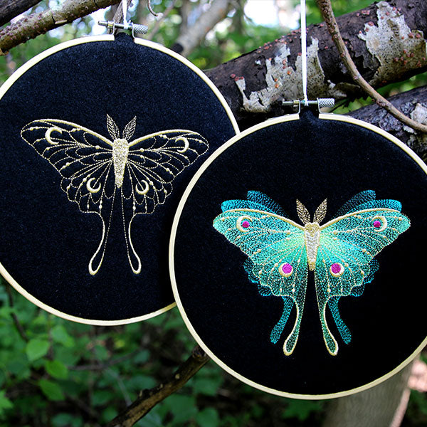 Sheer Illusions Luna Moth in Flight