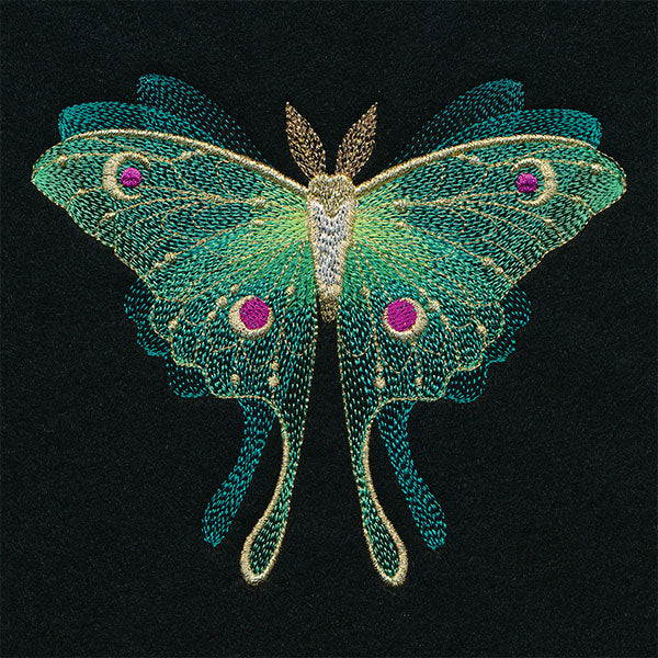 Sheer Illusions Luna Moth in Flight