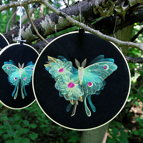 Sheer Illusions Luna Moth