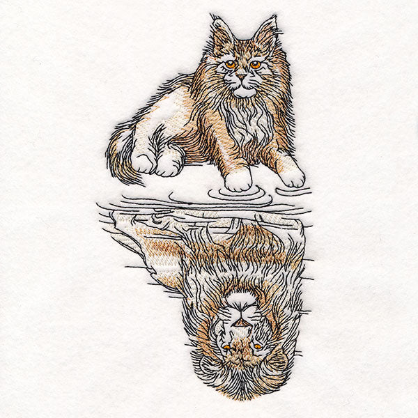 Aspirational Maine Coon to Lion Reflection