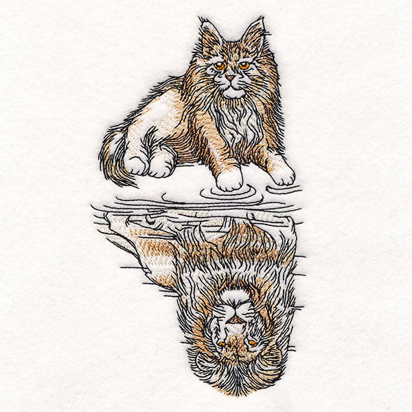 Aspirational Maine Coon to Lion Reflection