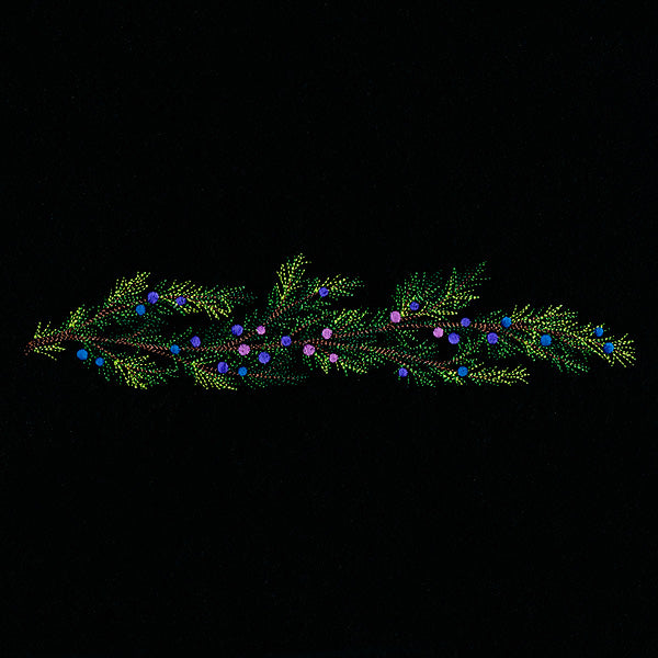 Juniper & Berries Border