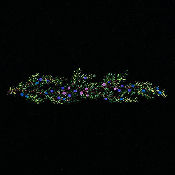 Juniper & Berries Border