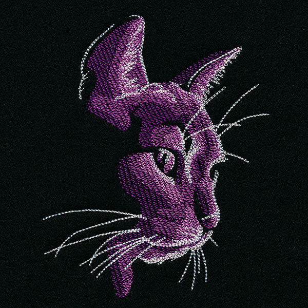 Moonlit Kitties - Looking Down