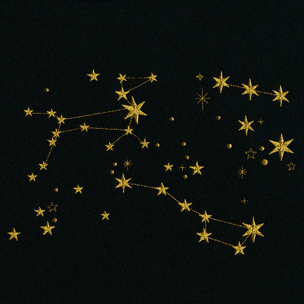 Stars of the Constellation Feature
