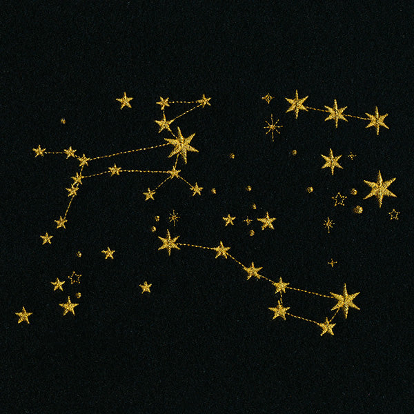 Stars of the Constellation Feature