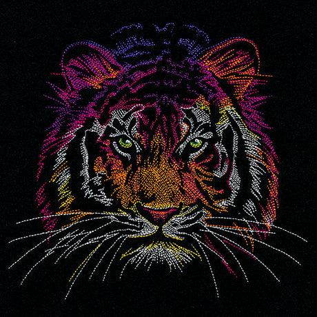 Rainbows & Mystery - Tiger Head