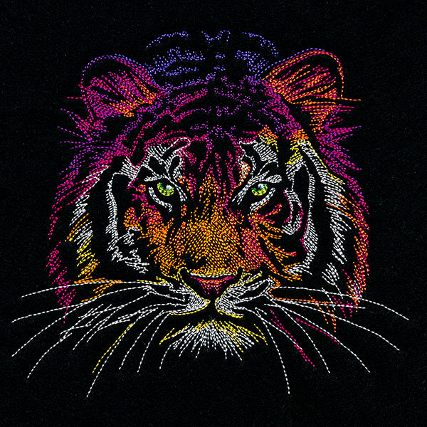 Rainbows & Mystery - Tiger Head