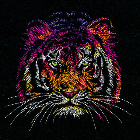 Rainbows & Mystery - Tiger Head