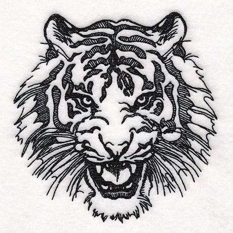 On the Prowl Tiger