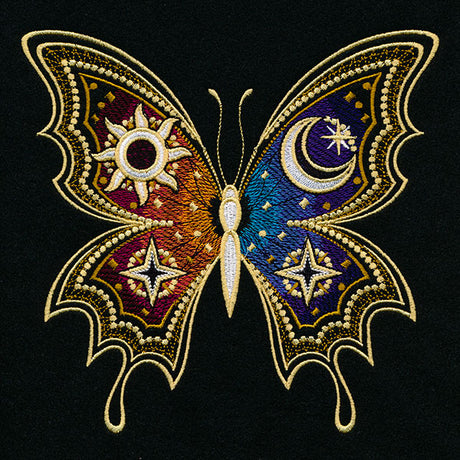 From Day to Night Butterfly