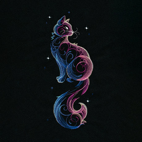 Cosmic Cat