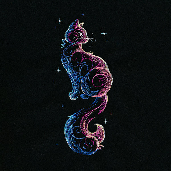 Cosmic Cat