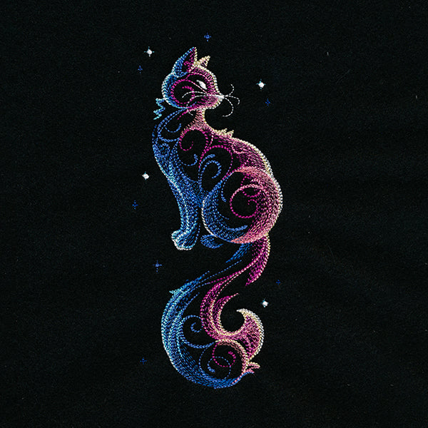 Cosmic Cat