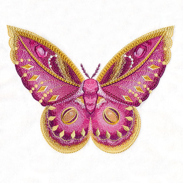 Winged & Beautiful