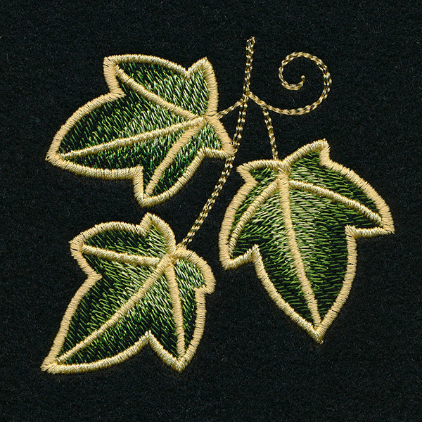 Enchanted Ivy Accent