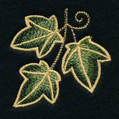 Enchanted Ivy Accent