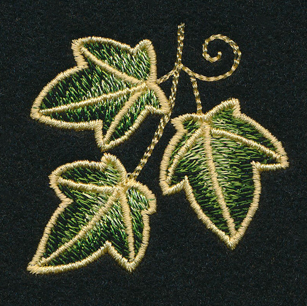 Enchanted Ivy Accent