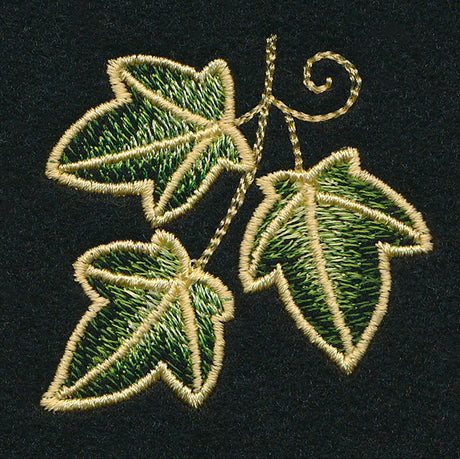 Enchanted Ivy Accent