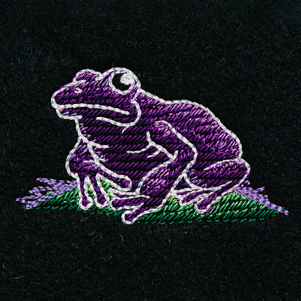 Enchanted Garden II - Frog