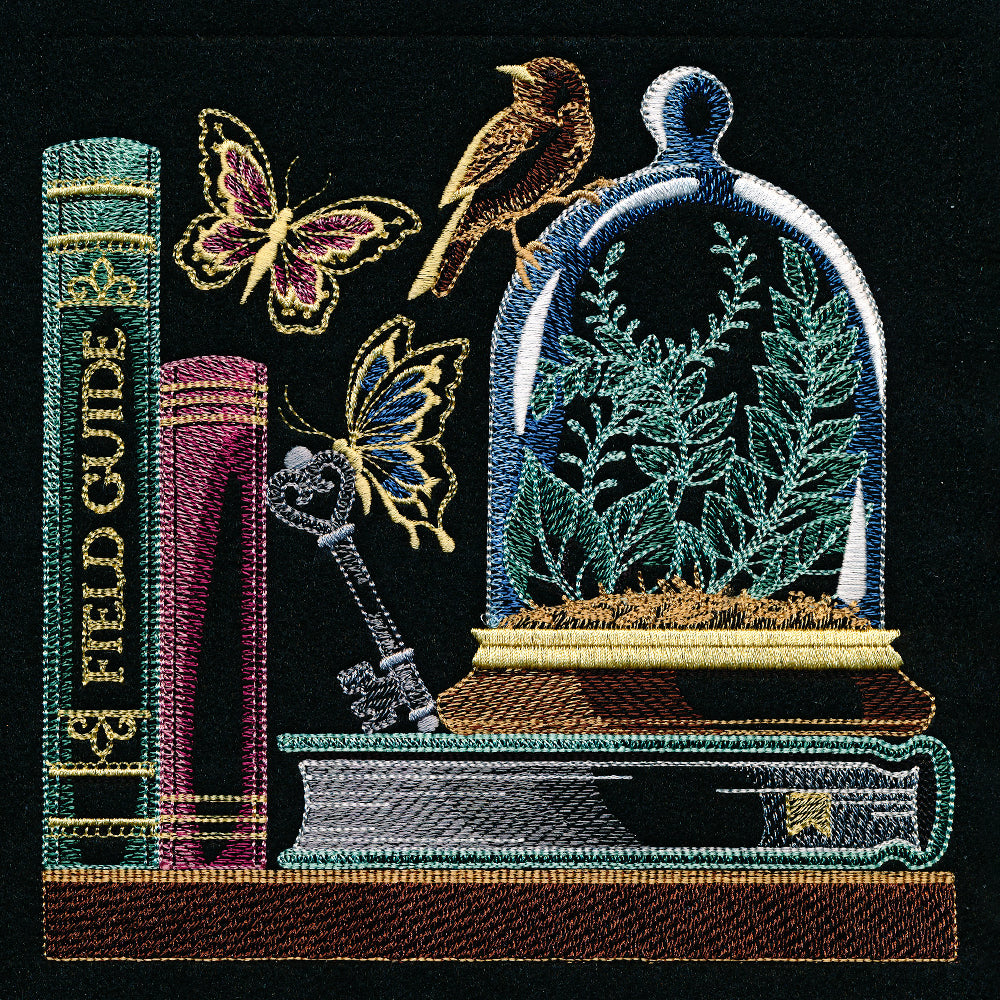 Build a Bookshelf Scene - Nature's Treasures