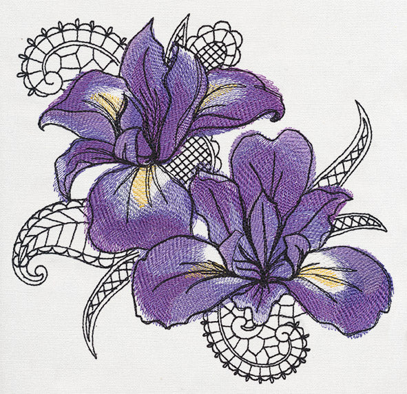 Petals and Lace - Iris