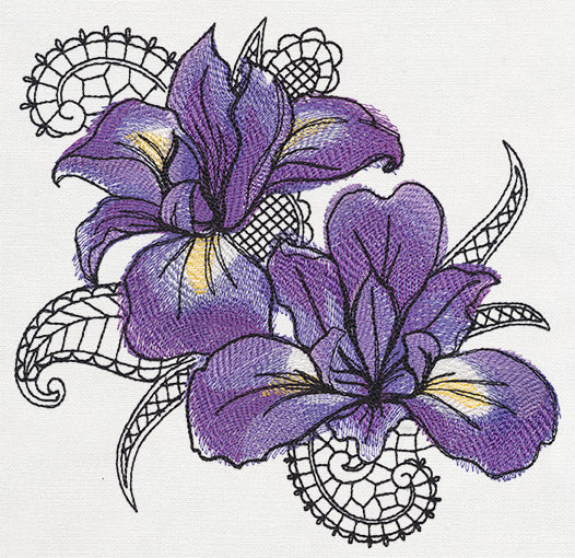Petals and Lace - Iris