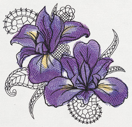 Petals and Lace - Iris