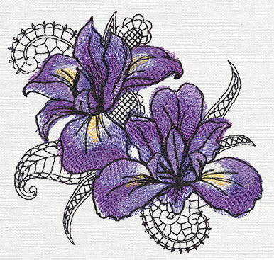 Petals and Lace - Iris