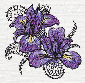 Petals and Lace - Iris