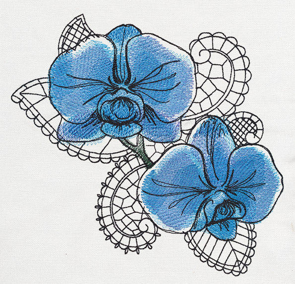 Petals and Lace - Orchid