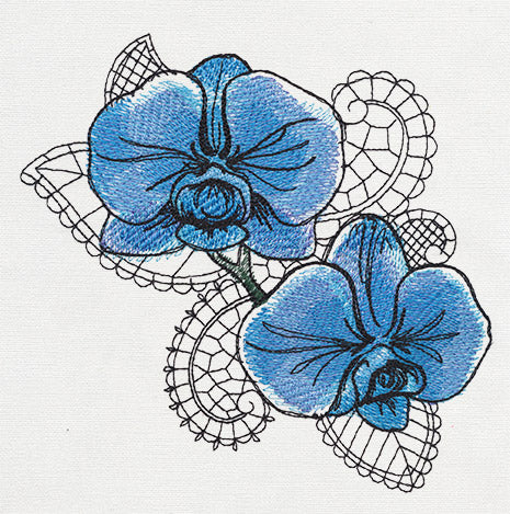 Petals and Lace - Orchid