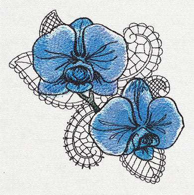 Petals and Lace - Orchid