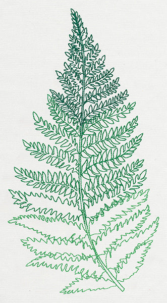 Where the Fern Grows