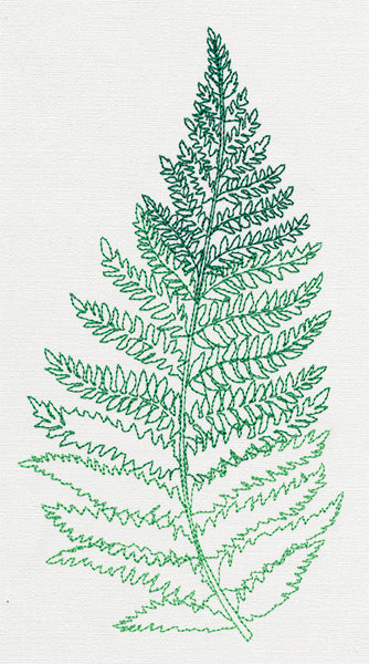 Where the Fern Grows