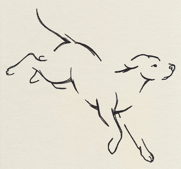 The Menagerie - Pouncing