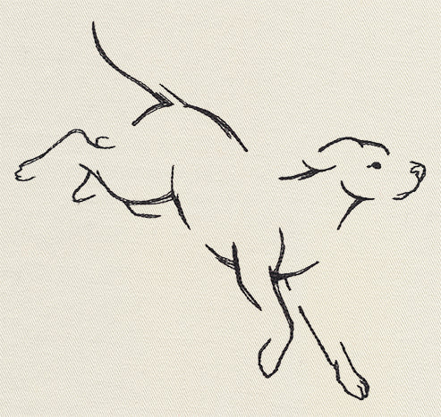 The Menagerie - Pouncing