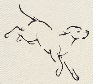 The Menagerie - Pouncing