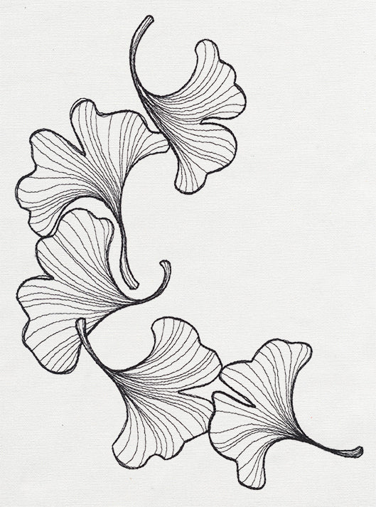 Engraved Ginkgo